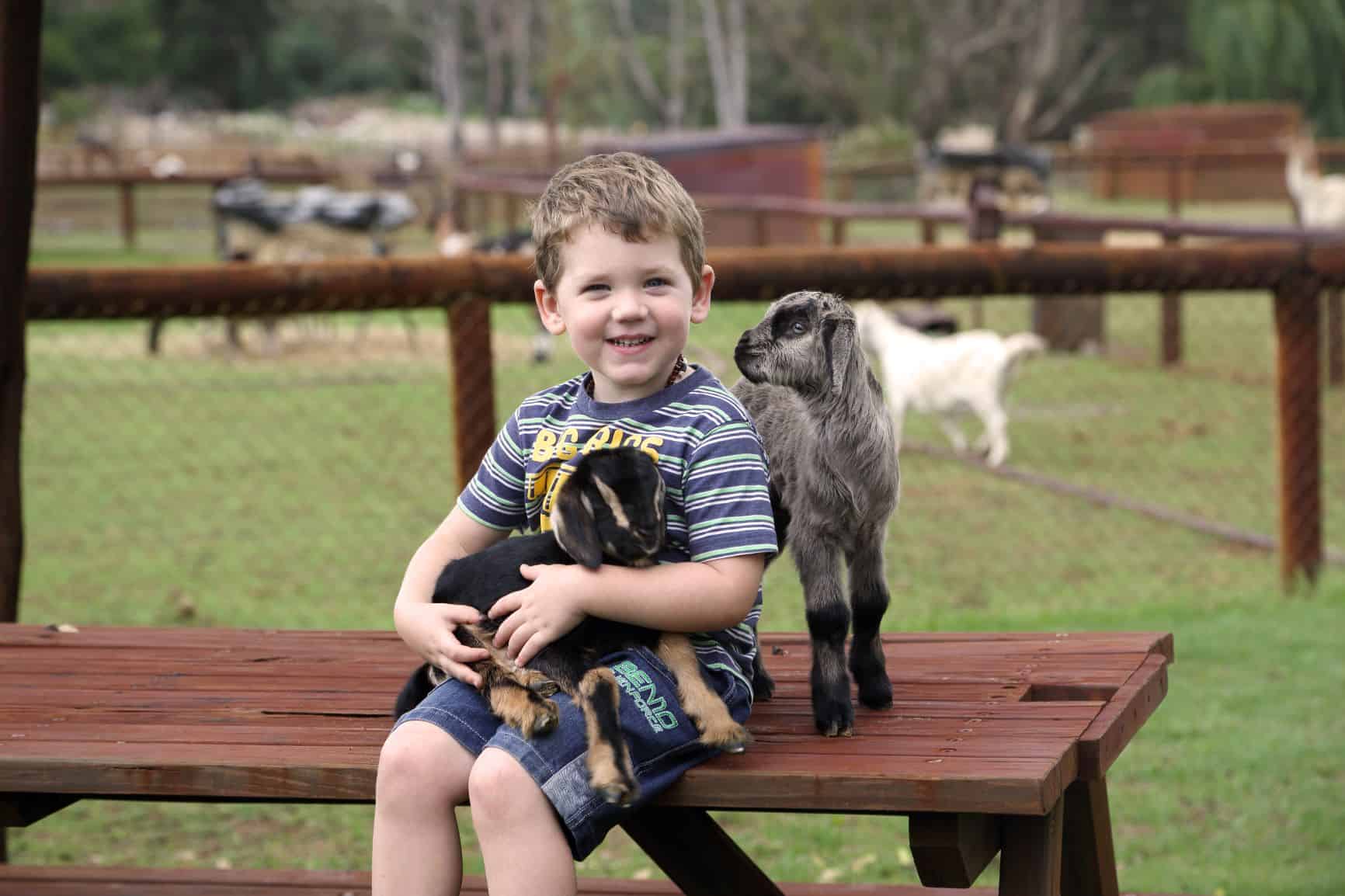 Swan Valley Cuddly Animal Park Swan Valley Cuddly Animal Park