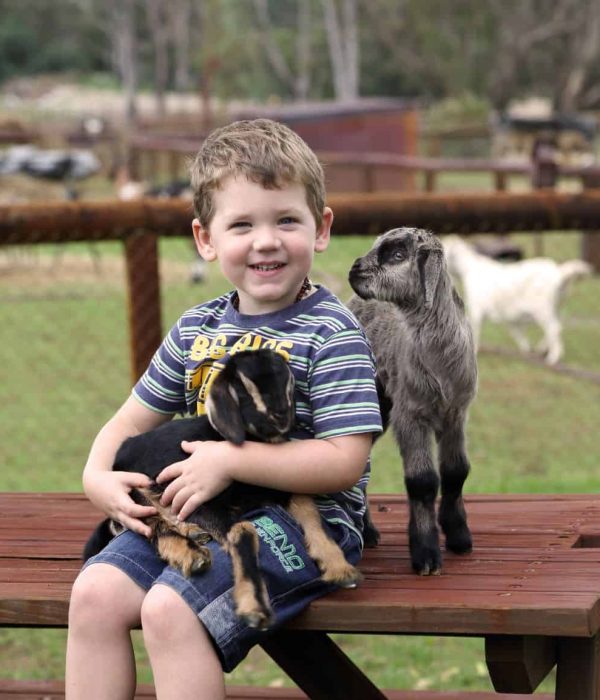 Swan Valley Cuddly Animal Park